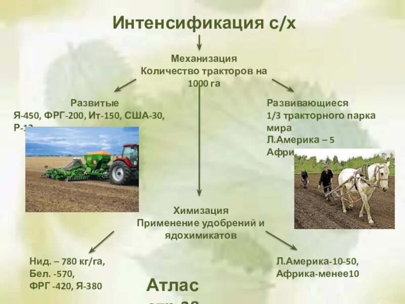 Интенсификация развития. Интенсификация сельского хозяйства. Типы сельского хозяйства. Интенсификация сельскохозяйственного производства. Интенсификация земледелия.