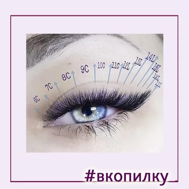 Схема ресниц стрелки. Схема ресниц стрелки. Кукольного лисий эффект схема наращивания ресниц. Схема стрелочки в наращивании. Схема ресниц стрелки.