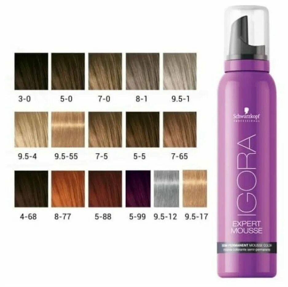 5-1. шварцкопф игора эксперт мусс. Igora expert mousse 7-65. Schwarzkopf perfect mousse 3 в 1 русый тонирующий мусс для волос 120 мл. тонирующий мусс для волос шварцкопф.