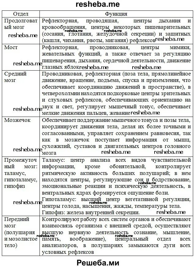 Таблица отделы головного мозга и их функции и строение. 5 Отделов головного мозга и их функции таблица. Таблица части головного мозга особенности строения функции. Таблица отделы головного мозга и их функции биология 8 класс. Таблица отдел мозга особенности строения функции