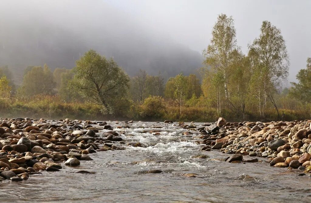 Уровень воды в чарыше на сегодня