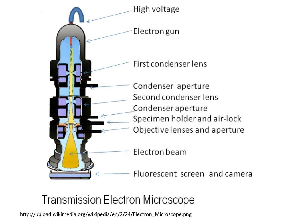 Electron microscopy. Scanning electron microscopy. Transmission electronic microscope lens. Электронный микроскоп эм14. Просвечивающая электронная микроскопия.