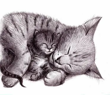 Мама нарисуй котенка