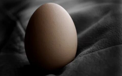Egg picture