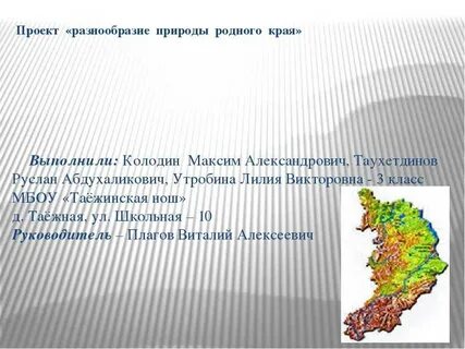 Проект родной регион
