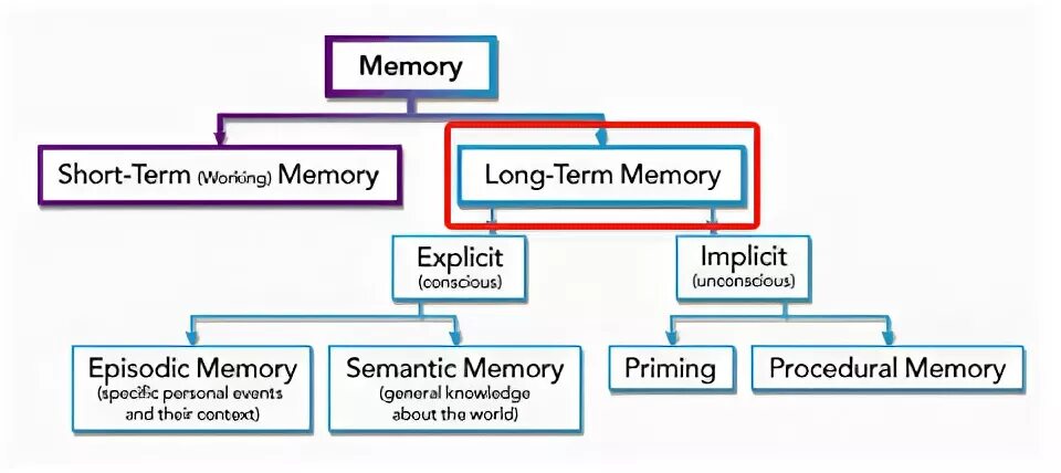 Implicit Memory. Short term Memory. Long term Memory. What is Memory. Types of possible