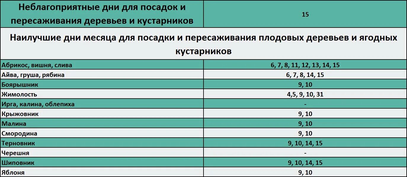 Благоприятные и неблагоприятные дни для посадки. Неблагоприятные дни. Неблагоприятные дни для посадки. Опасные дни для пересадки. Удачные дни для посадки деревьев.