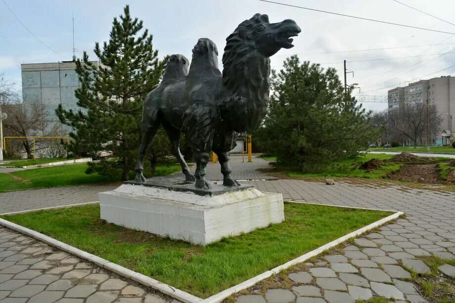 Памятник верблюду в Элисте. Скульптура верблюд хозяин степи в Элисте. Памятник хозяин степи Элиста. Статуя верблюда в Элисте. Памятники животным и растениям