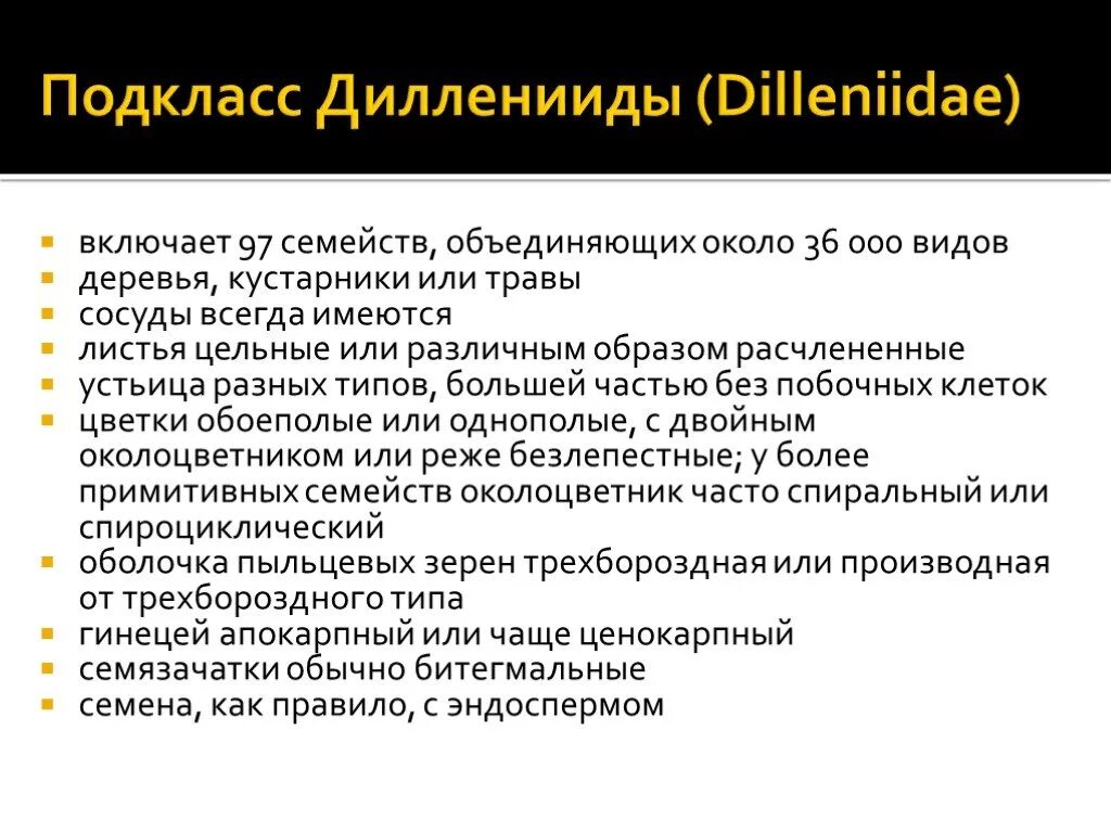 Класс подкласс функциональной. Подкласс дилленииды. подкласс ламииды. подкласс гамамелидиды. дилленииды представители.