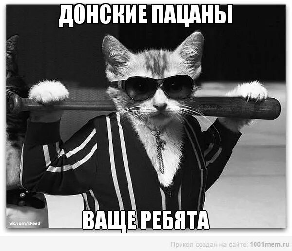 Котик 8 бит. Кот бандит. Рыжий кот демотиватор. Сильный кот мем. Коты терминаторы.