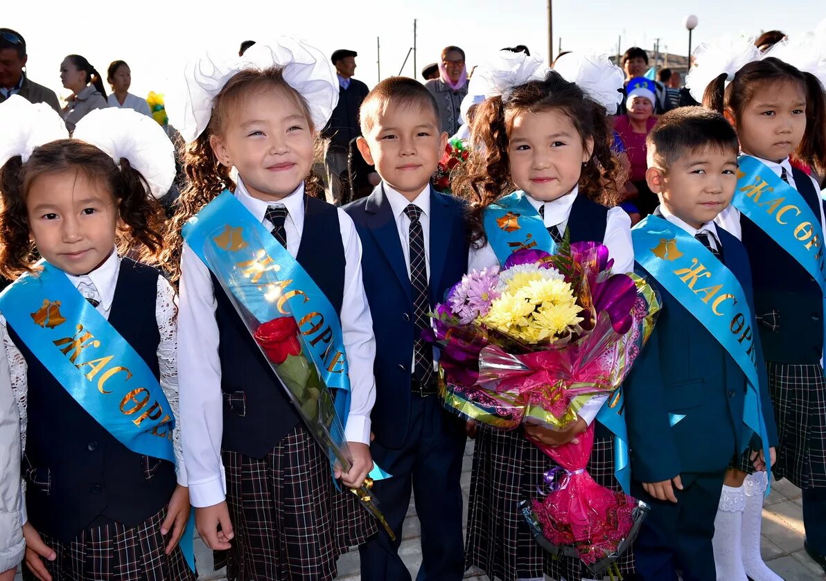 образование кз