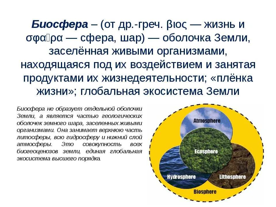 Биосфера параграф по географии 6 класс. Биосфера земная оболочка земли. Биосфера оболочка земли 5 класс биология. Биосфера — Живая оболочка планеты. Биосфера это в экологии.