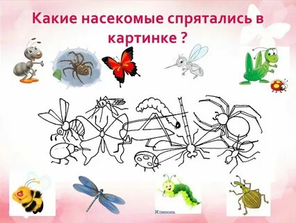 Насекомые отвечают на вопрос что