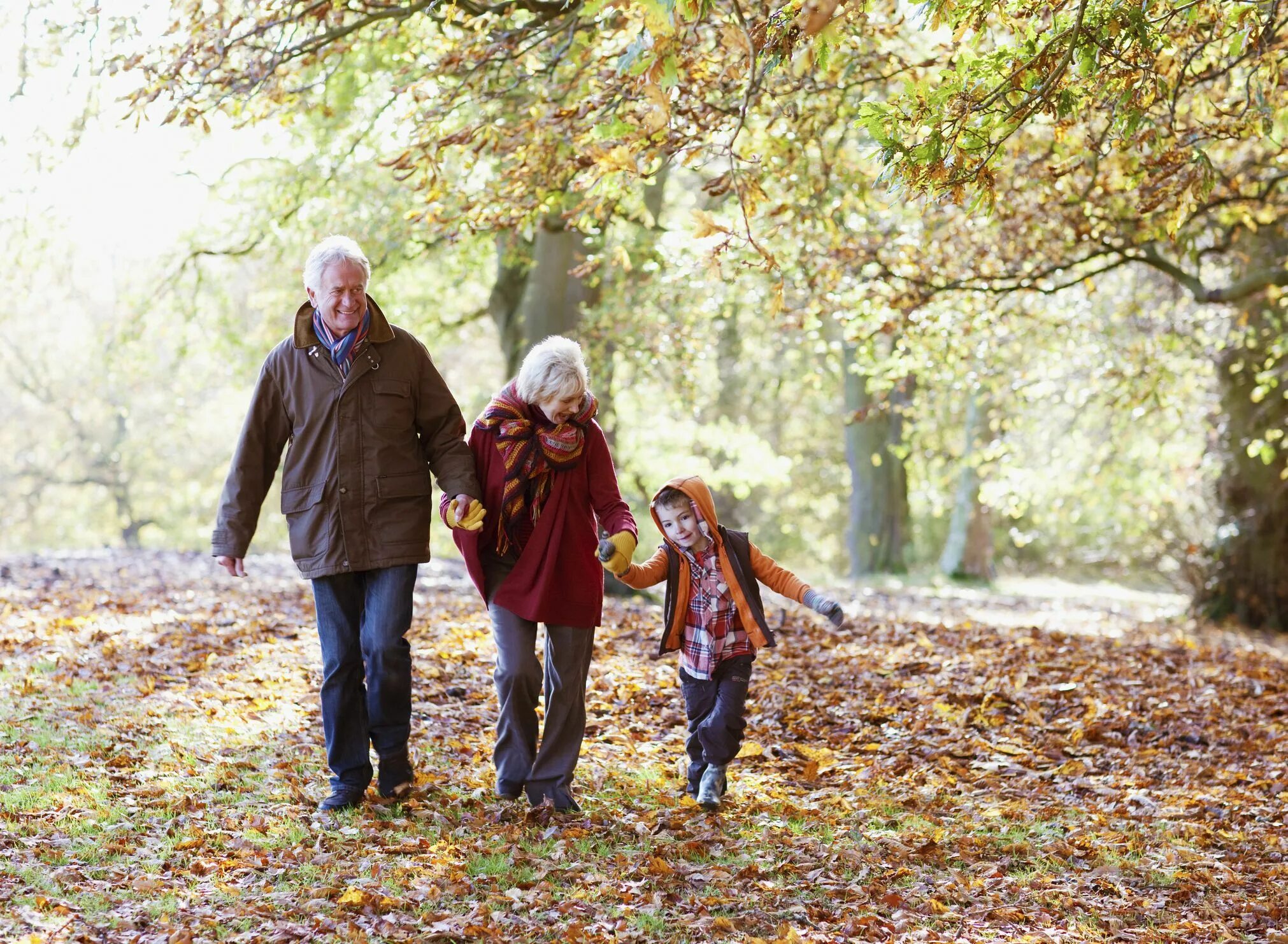 Дедушка и внучка в лесу. Пожилые люди осень. Пожилые люди в парке. Бабушка и дедушка на прогулке. Прогулка пожилых людей.