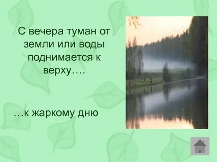 Туман кверху