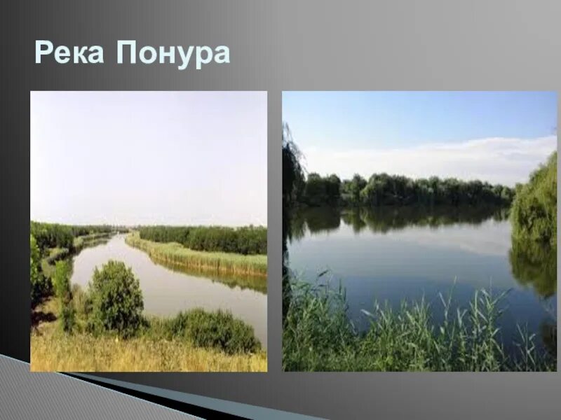 Река Понура в Краснодарском крае. Река Понура Новотитаровская. Речка Понура в Краснодарском крае. Река Понура Нововеличковская. Река понура