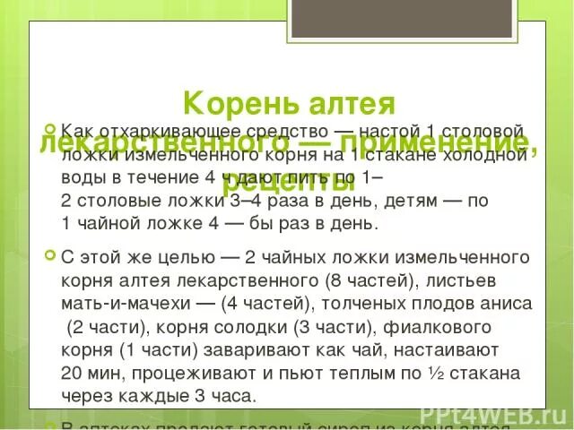 Корень алтея на латинском. Отвар корня Алтея на латинском рецепт. Настойка корня Алтея на латинском. Корня Алтея на латинском в рецепте.