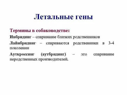 Летальные гены