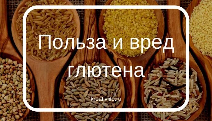 Глютен что это такое польза и вред. Глютен вреден для организма. Полезен ли глютен. Чем полезен и вреден глютен. Чем вреден глютен для организма