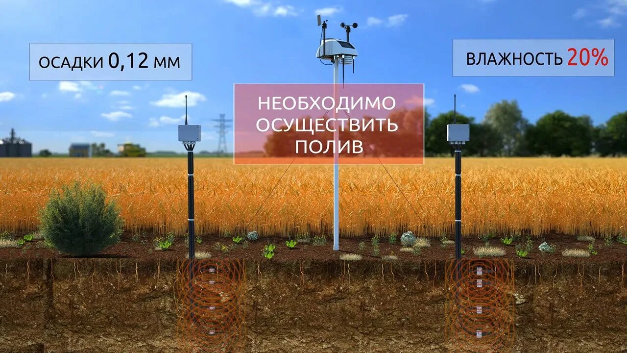 Метеостанцией передано что произойдет понижение. Метеостанция Сокол м1. Метеостанция для сельского хозяйства. Датчики в сельском хозяйстве. Цифровые метеостанции для сельскохозяйственных.