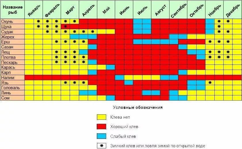 Клев по месяцам. Рыболовный календарь. Календарь рыбалки. Календарь клева. Рыбацкий календарь клева.