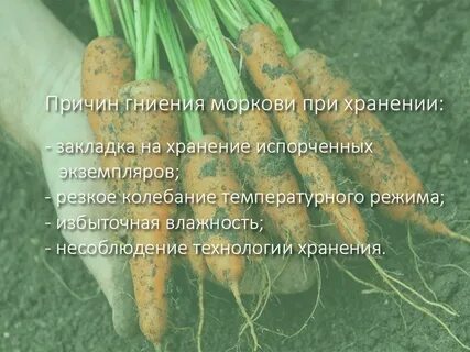 Причины хранения