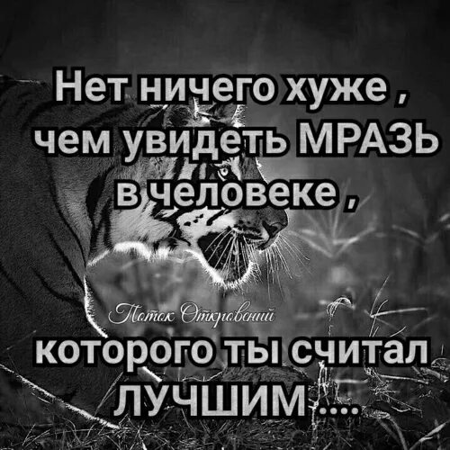 Книга хуже чем ничего. Нет ничего хуже чем увидеть в человеке. Нет ничего хуже увидеть в человеке. Статус про ублюдков. Маразь в человеке которого.