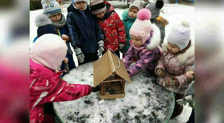Кормление птиц в детском саду. Покорми птиц зимой в детском саду. дети кормят птиц зимой в детском саду. акция кормушка для птиц в детском саду. акция покормите птиц зимой в детском саду.
