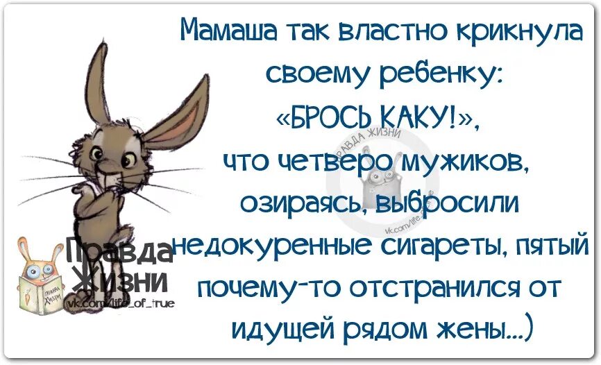 Женщина и четверо мужчин. Анекдот мама крикнула брось Каку. Правда жизни. Брось Каку. Анекдот выкинь Каку.