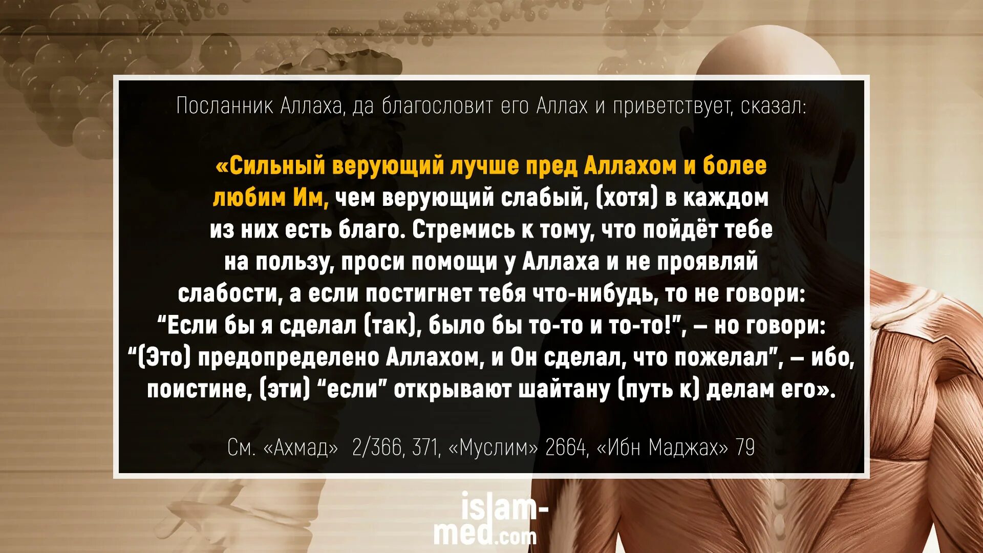 Сильно верующий. Хадисы. сильный мусульманин лучше слабого хадис. сильный верующий любимее аллаху чем слабый. хадис сильный верующий лучше слабого.