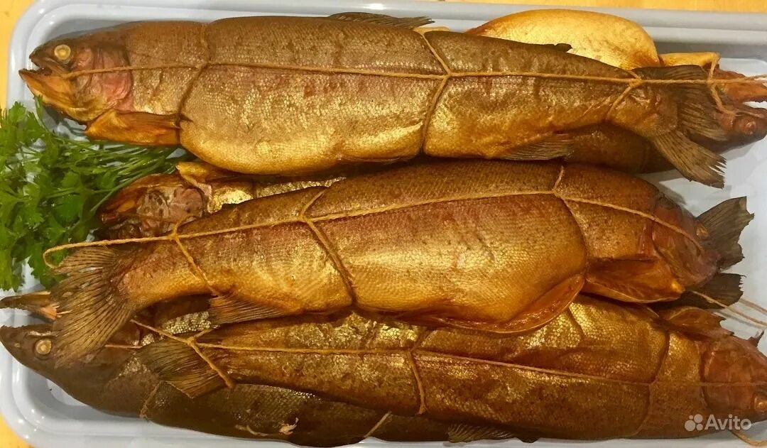 рыба холодного копчения. чавыча холодного копчения. сазан холодного копчения. осетрина горячего копчения. затем копчение.