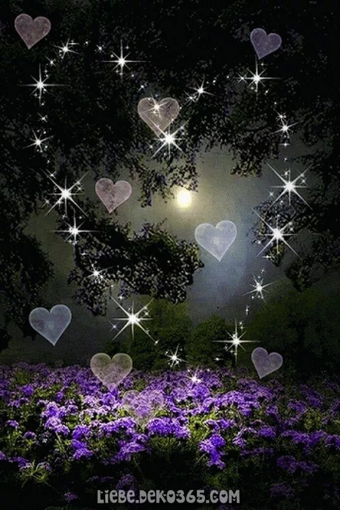 Animacia. Ночь цветы сердце. Переливающиеся сердечки. Спокойной ночи сердечки. Сердце ночь цветы красиво.