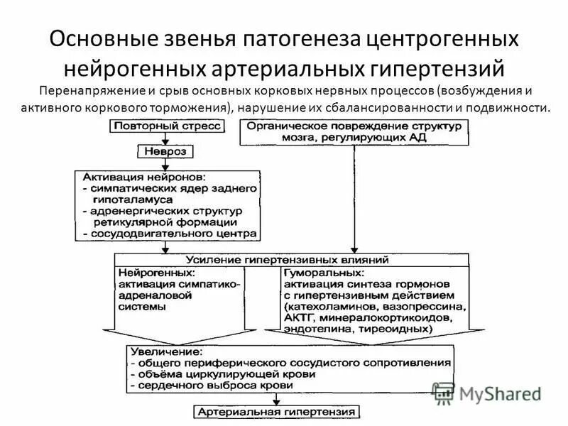 Патология ад