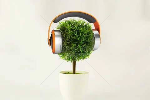 Sound plant