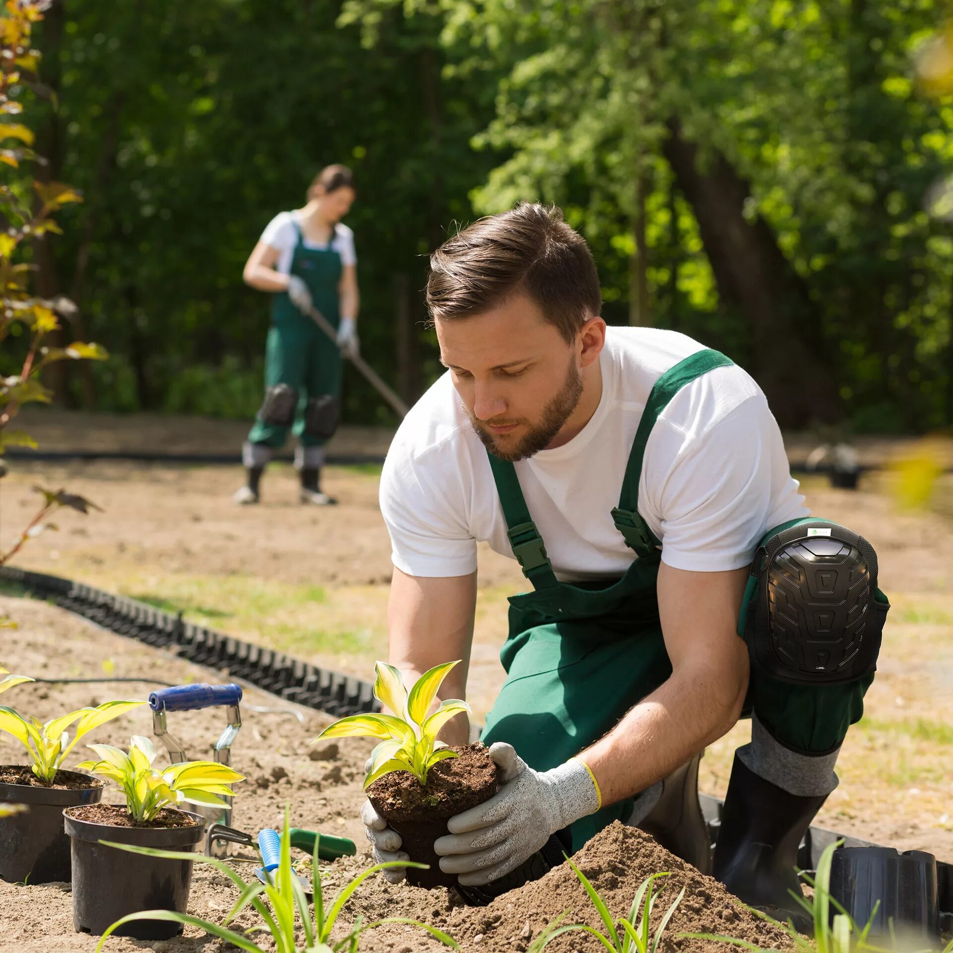 Get my garden