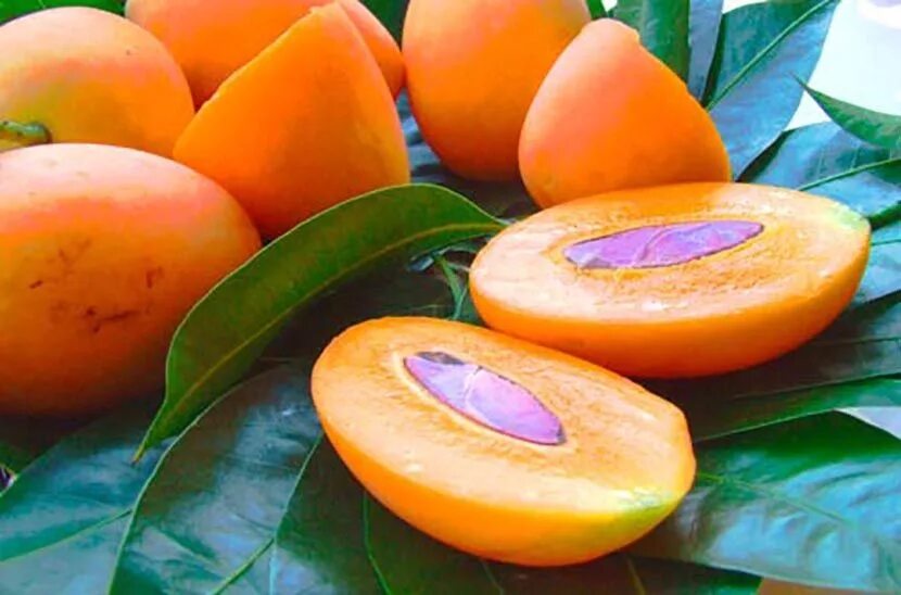 Манго слива фрукт. Манго сливы. Тайская слива мапранг. Манго слива фрукт. Maprang.