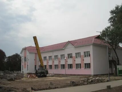 Курс хойники