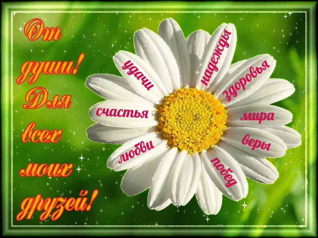 Счастья удачи доброго дня