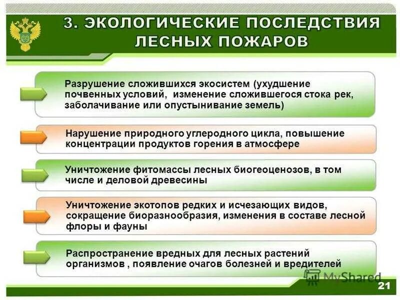 Экологические последствия лесных пожаров. Влияние пожаров на экологию. Последствия лесных пожаров для человека. Социальные последствия лесных пожаров. Почему нарушенный природный комплекс долго восстанавливается