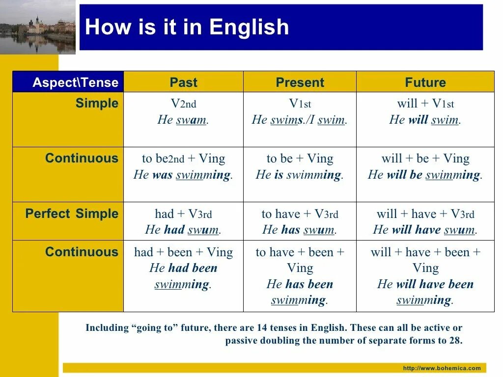 Swim в present perfect continuous