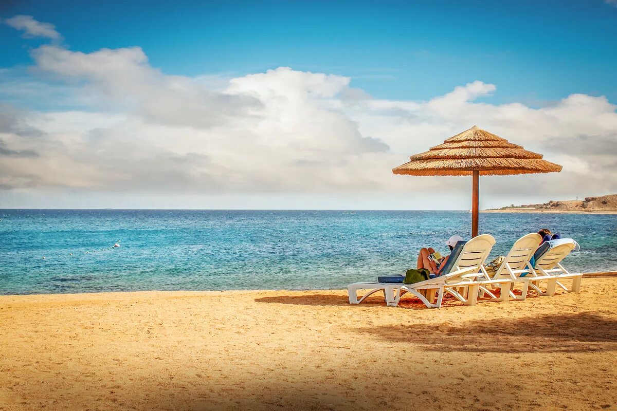 пиво лето. пляж реклама. лето пляж. шезлонг на пляже. лето пляж.