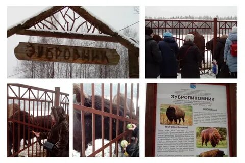 Масленица в зубровнике 2024