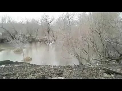 Погода в огнях алтайский край