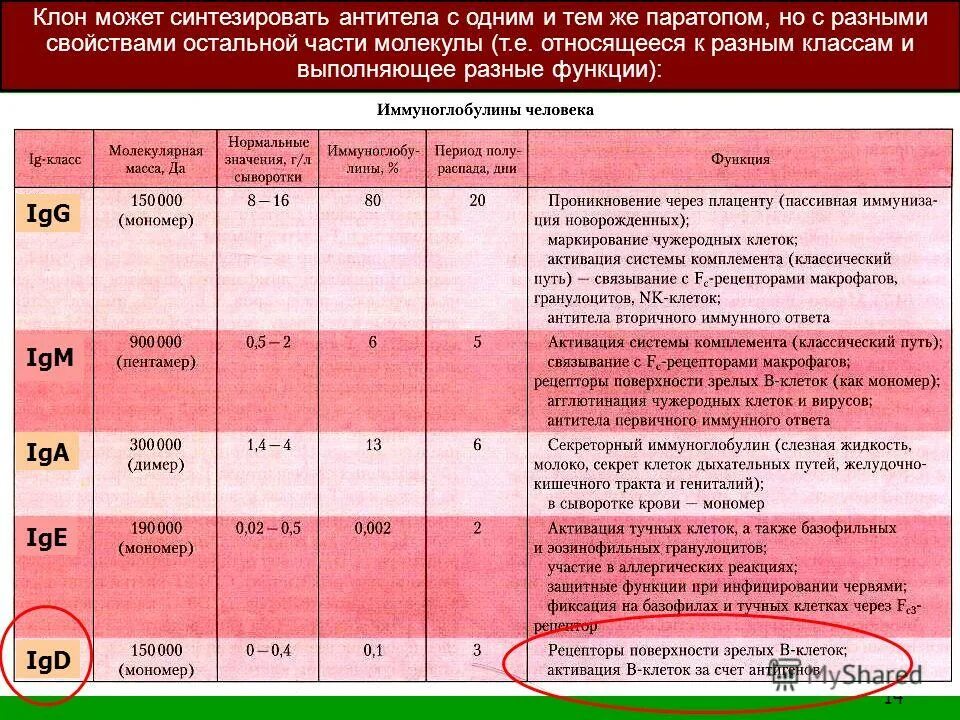 Сколько норма антитела