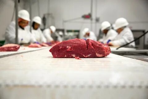 Качество и безопасность мясной продукции