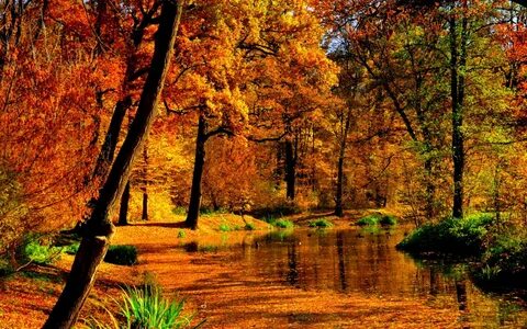 Красота осеннего пейзажа