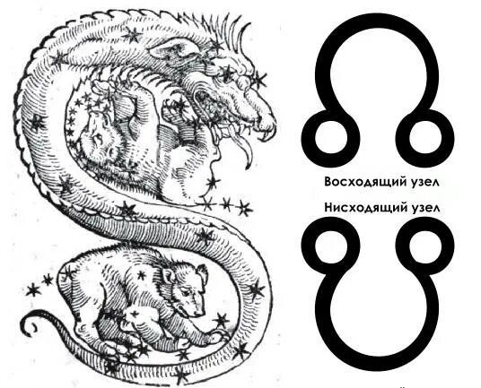 Северный узел знак как выглядит Лунные узлы картинка