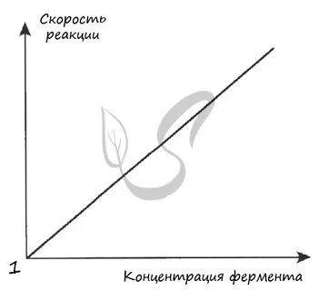 Зависимость активности ферментов от концентрации субстрата