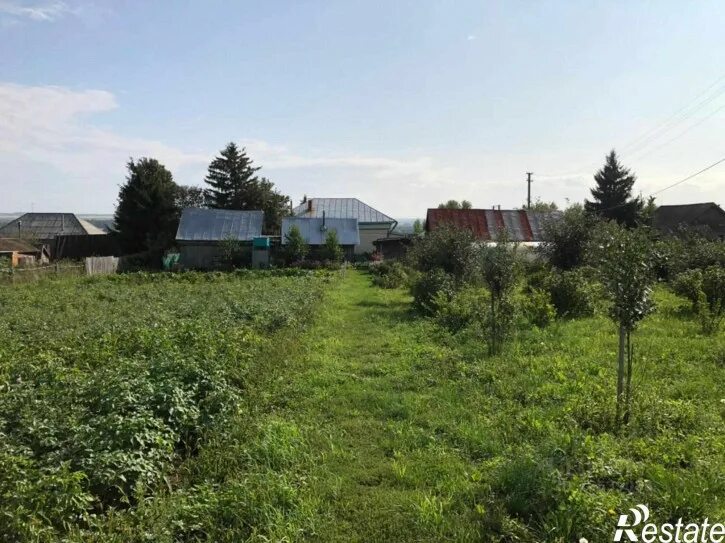Погода новобиктово. Погода новобиктово. Погода новобиктово. Погода новобиктово. Погода новобиктово.