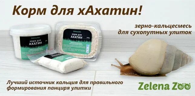Ахатина кальций. Кормовые улитки. Яичная скорлупа для ахатин. Кальций для улиток ахатин. Ахатина кальций.